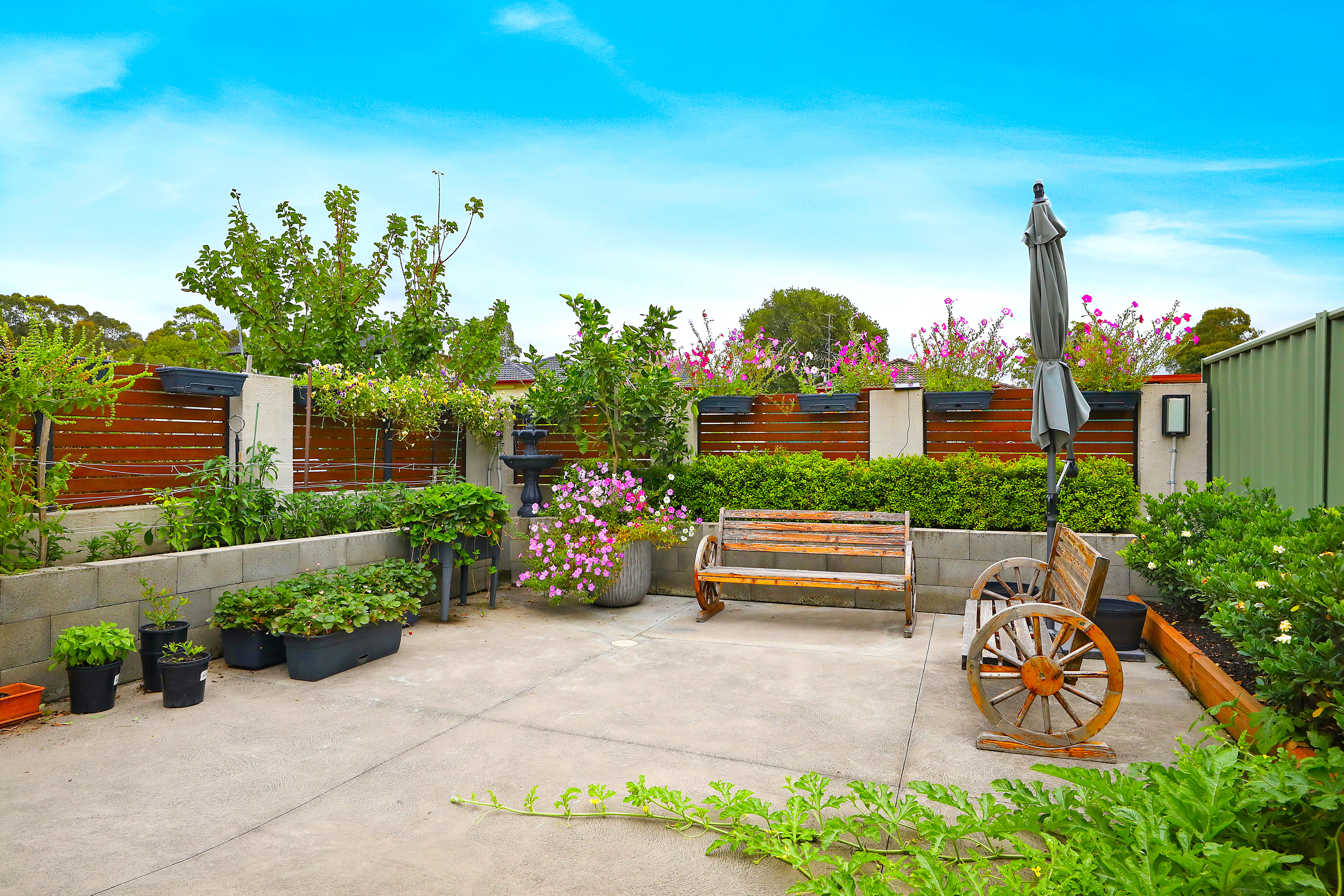 Express your Interest